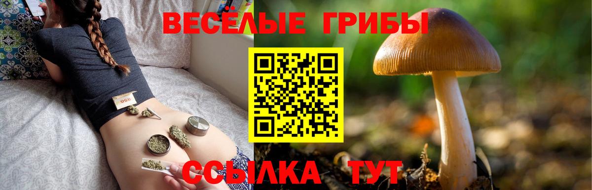Псилоцибиновые грибы ЛСД  Псилоцибиновые грибы GOLDEN TEACHER  Иваново  Вход с VPN 